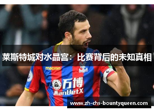 莱斯特城对水晶宫：比赛背后的未知真相
